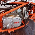 kayo-predator-110cc-anno-2018