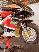 minimoto-gcm-50cc-anno-2025