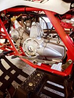 quad-viper-125cc-anno-2020