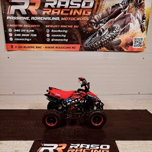 miniquad-drionbike-50cc-anno-2025