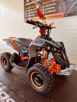 miniquad-drionbike-renegade-50cc-anno-2025