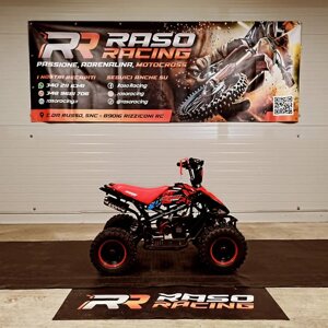 miniquad-drionbike-50cc-anno-2025