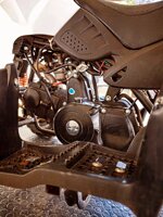 miniquad-profive-big-adventure-110cc-anno-2020
