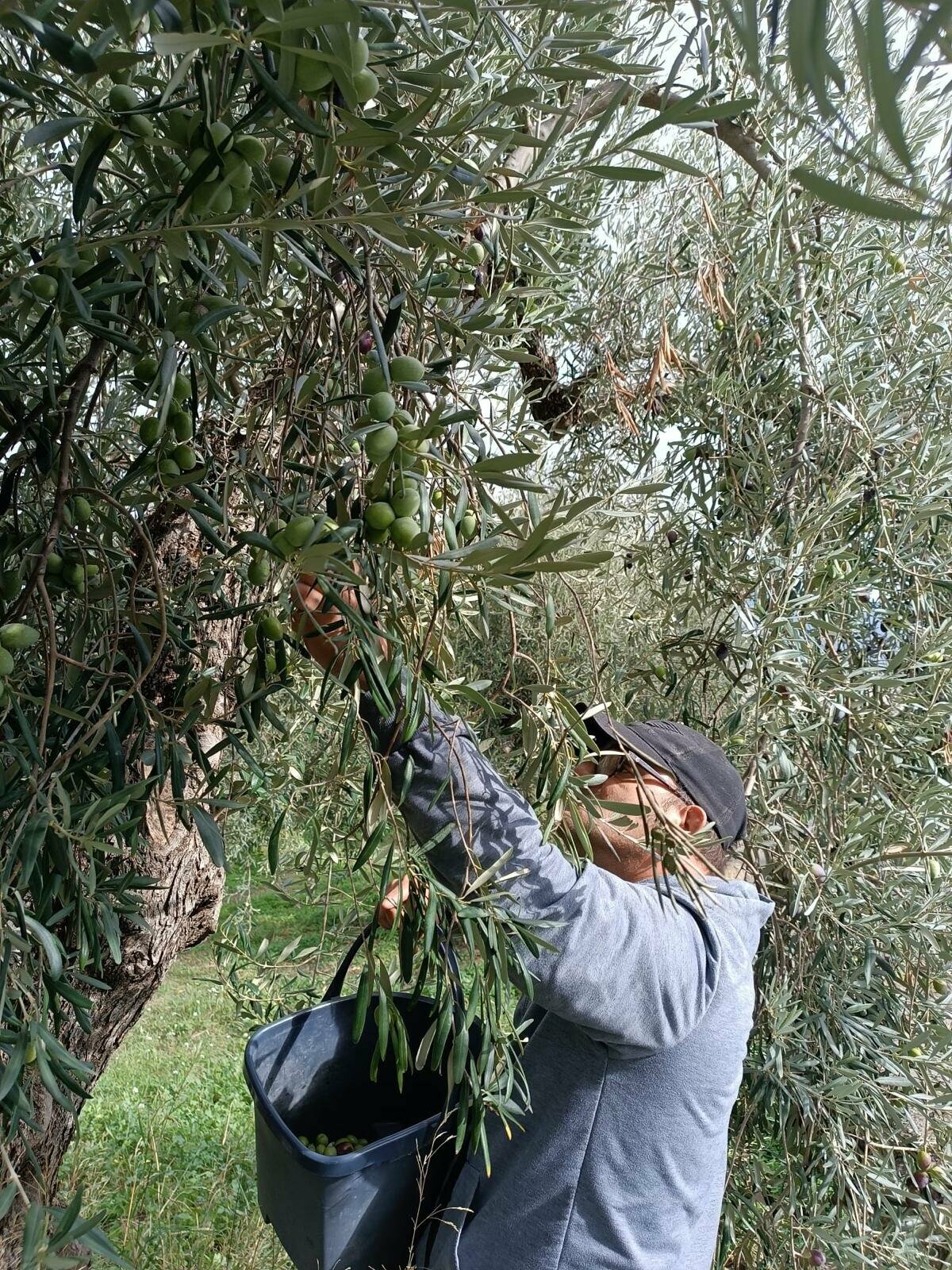 Orto e giardino terapeutico: coltivare la terra, coltivare il benessere Orto e giardino terapeutico: coltivare la terra, coltivare il benessere