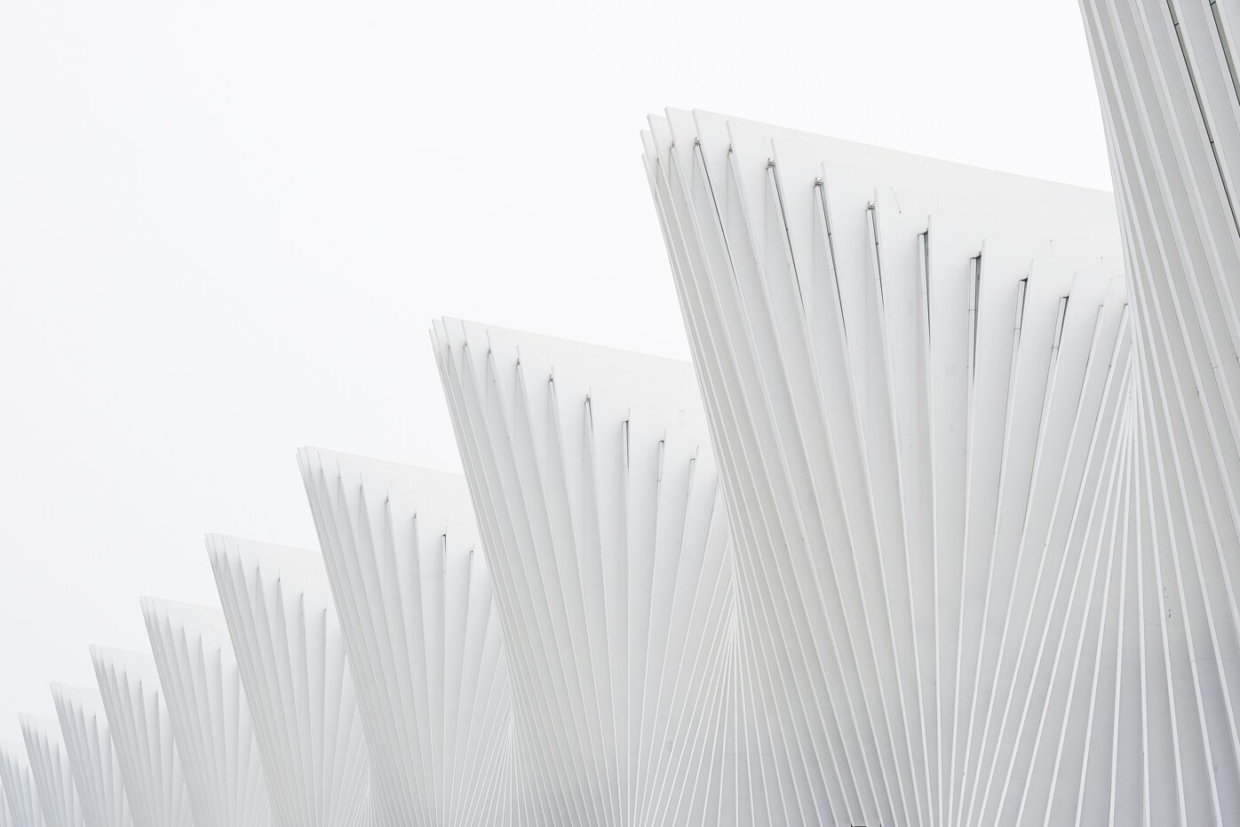 d8799dbdb86c955e8f7a90d62d7836f0