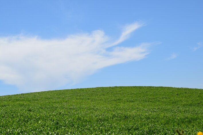 nature-3289859.jpeg