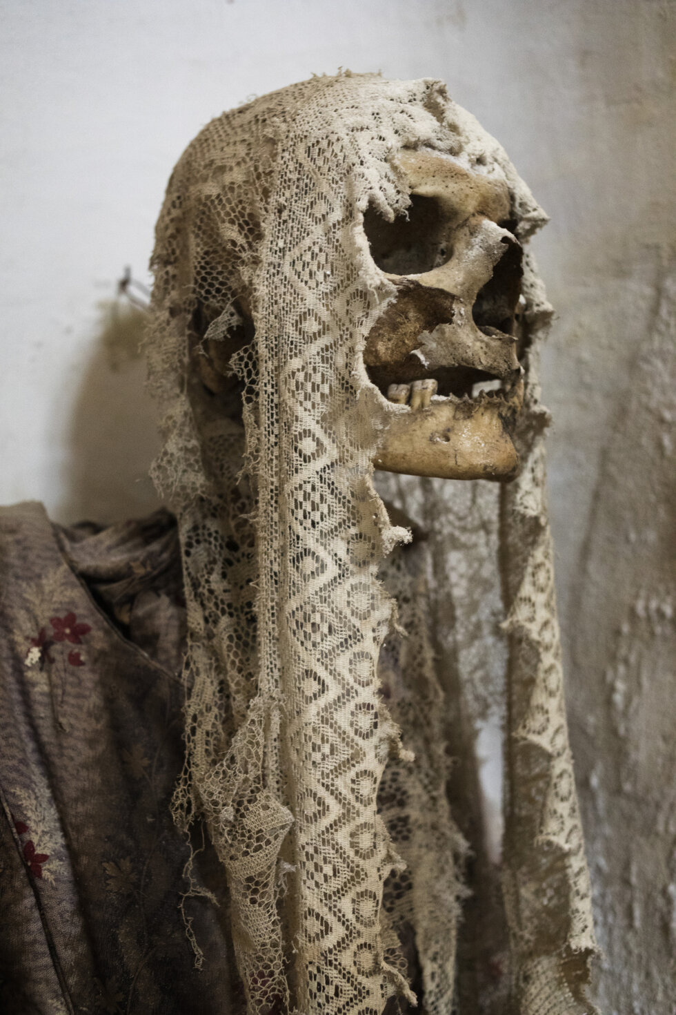 chiesa e monastero dei cappiccini a burgio museo delle mummie 2 di 2.jpeg