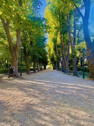 viale villa comunale 2.jpeg