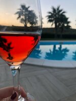 scirtea-vino-biologico-bianco-e-rosso