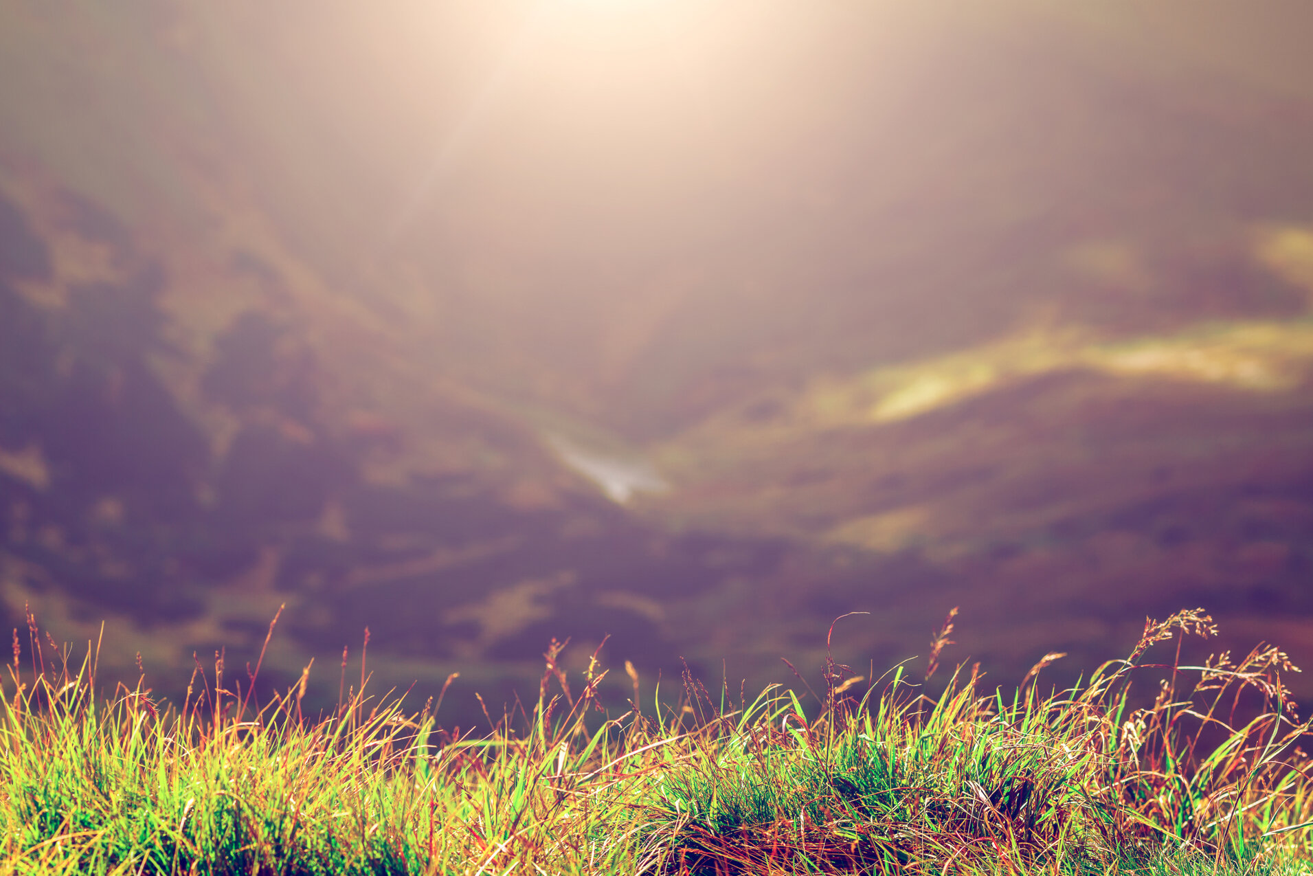 nature-mountain-background-2021-08-26-16-16-14-utc.jpeg
