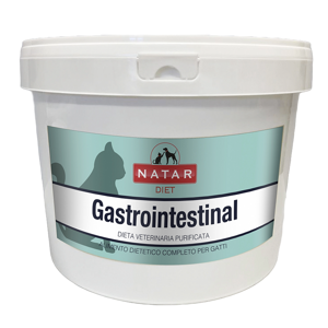 diet-gastrointestinal-gatto