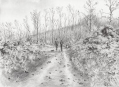 verso monte fontane.jpeg