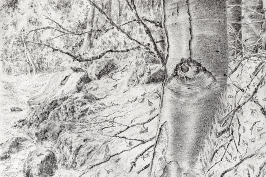 2 modifica betulla acqua rocca.jpeg