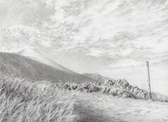 schiena dell'asino.jpeg