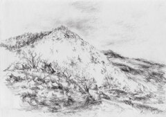 lungo la via per monte gemellaro 2019.jpeg