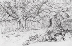 ilice di carrinu.jpeg