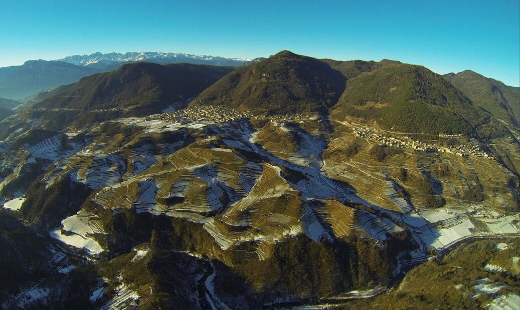 i vigneti terrazzati della valle di cembra.jpeg