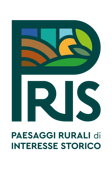 logo_pris_originale
