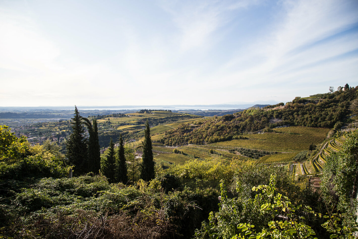 colline terrazzate della valpolicella03.jpeg