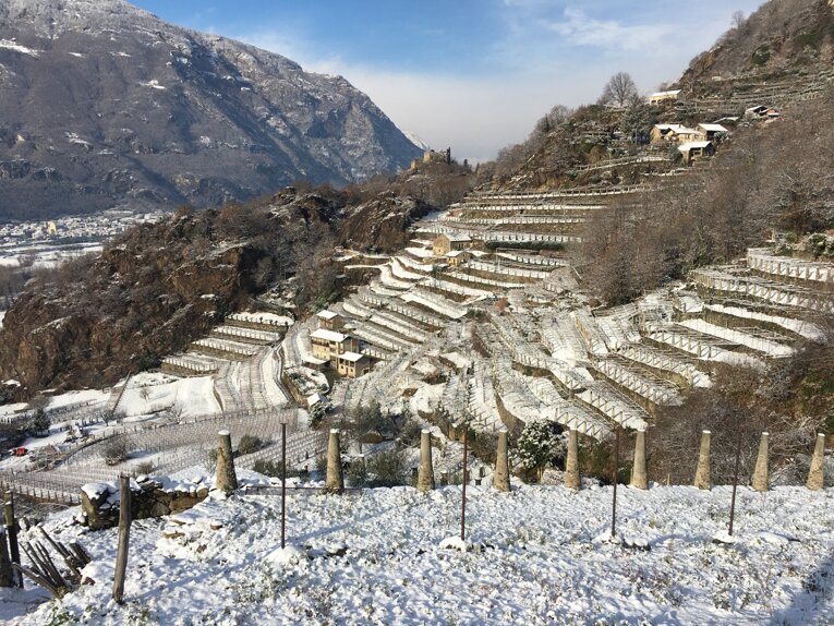 img_1686.jpeg img_1686.jpeg