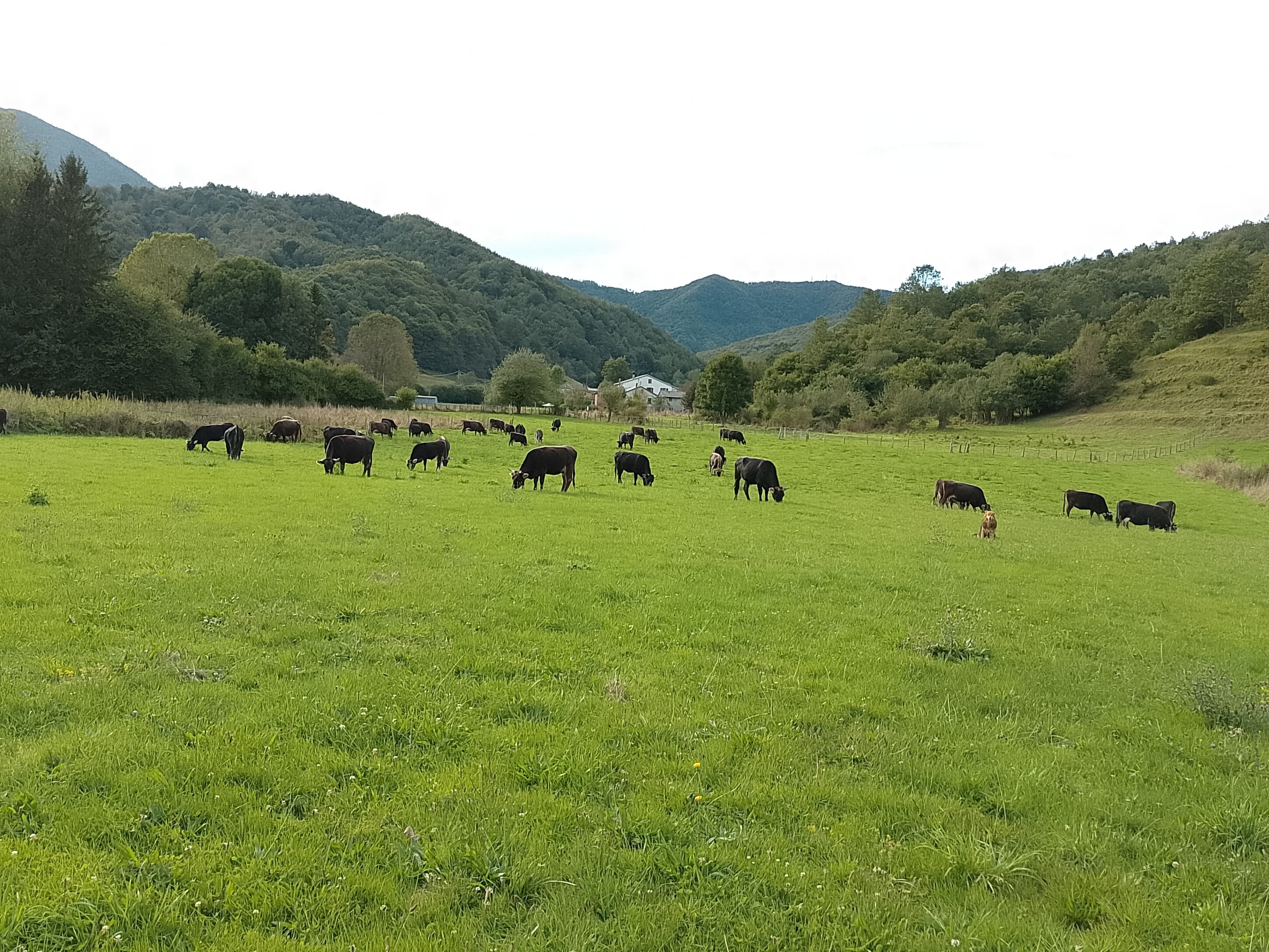 img_20240916_173656.jpeg