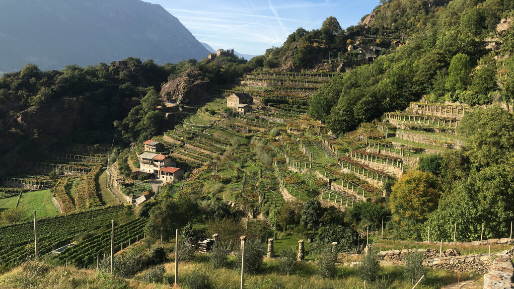 img_5684.jpeg img_5684.jpeg