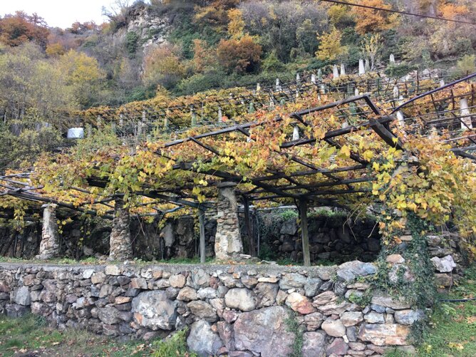 img_9077.jpeg img_9077.jpeg