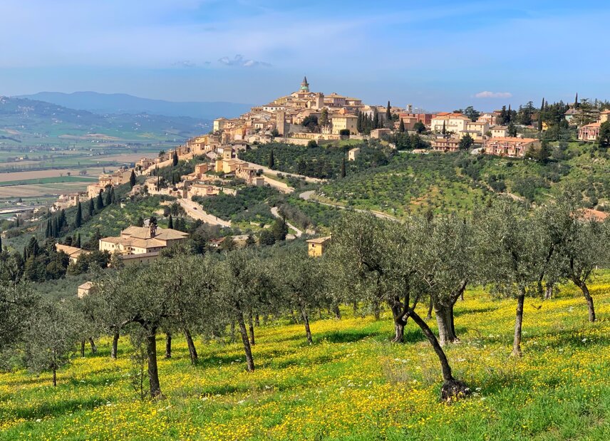 fascia pedemontana olivata assisi - spoleto10.jpeg