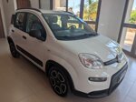 fiat-panda-hybrid