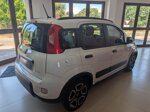 fiat-panda-hybrid