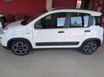 fiat-panda-hybrid