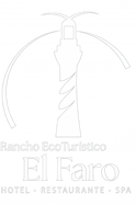 logo blanco en fondo transparente