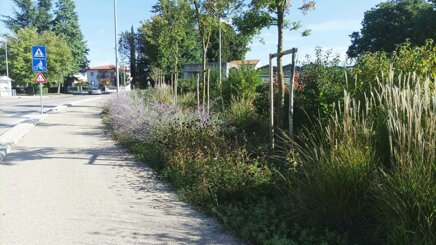 img-20250908-wa0002 copy.jpeg