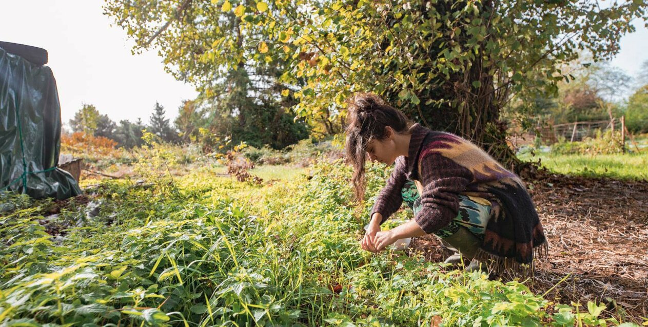 io che raccolgo ritaglio - bassa ris.jpeg