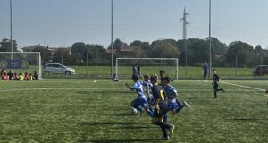 img_6200.jpeg img_6200.jpeg