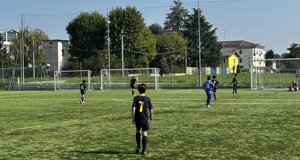 img_6208.jpeg img_6208.jpeg