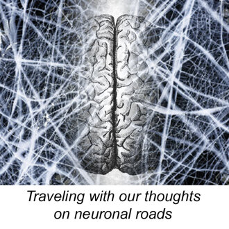 neuronal roads_03.jpeg