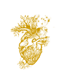 logo_coeur_cb9800_transparent logo_coeur_cb9800_transparent