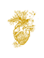 logo_coeur_cb9800_transparent