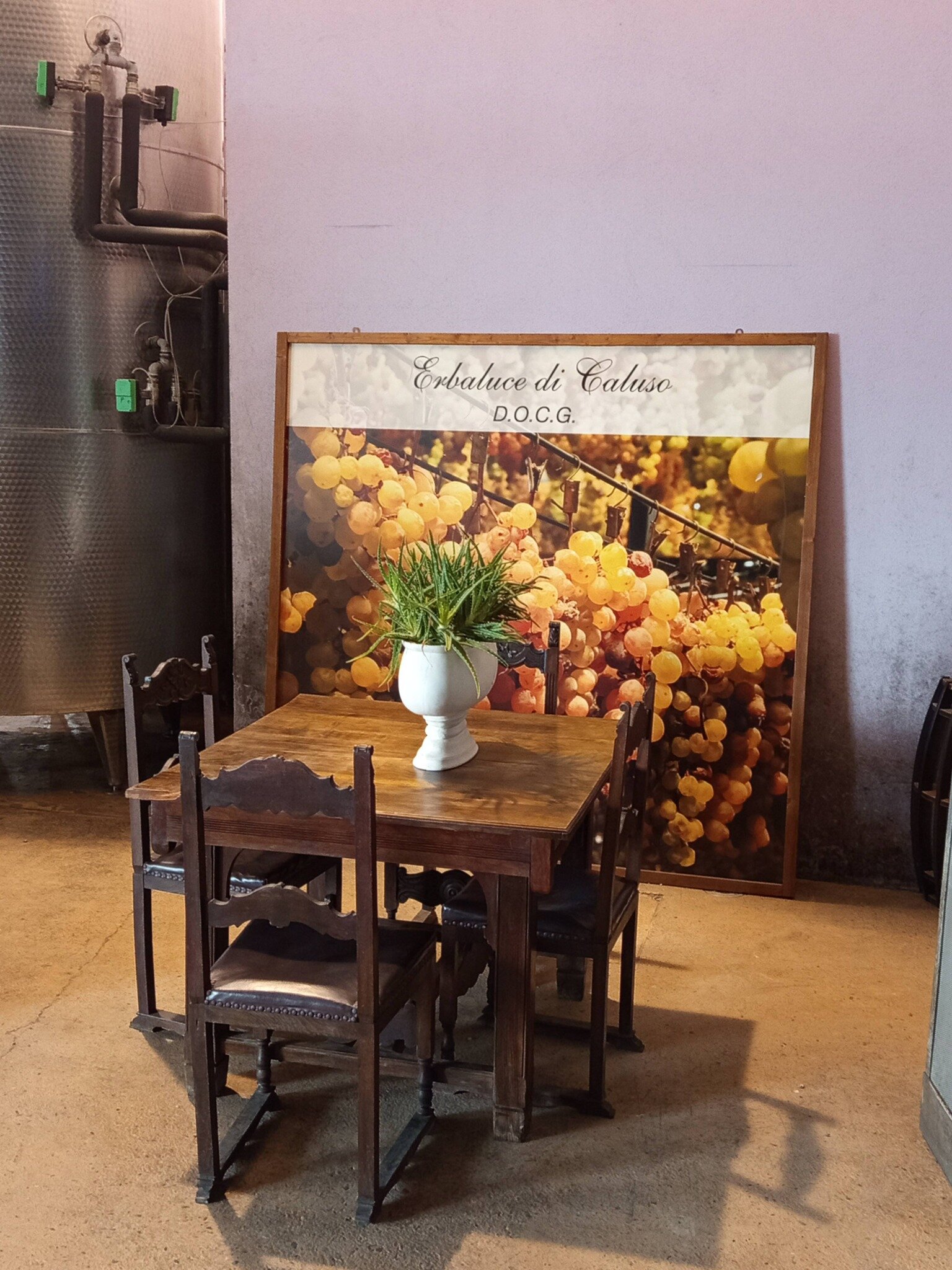 643734697_10239635348963931_8644368612339727834_n.jpeg 643734697_10239635348963931_8644368612339727834_n.jpeg