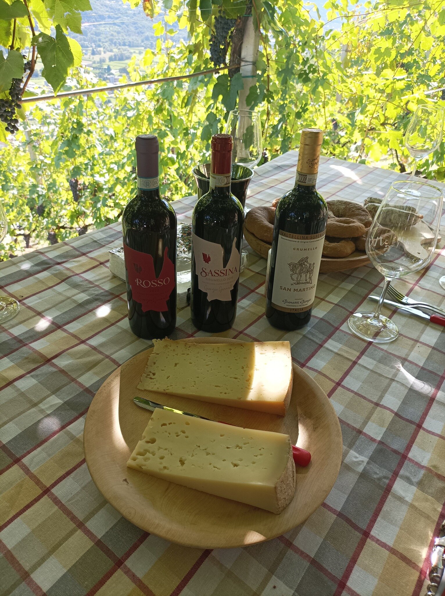 VISITE GUSTOSE: DA VIVA VINI VALTELLINA ALLA MOSTRA MULTISENSORIALE A TEGLIO