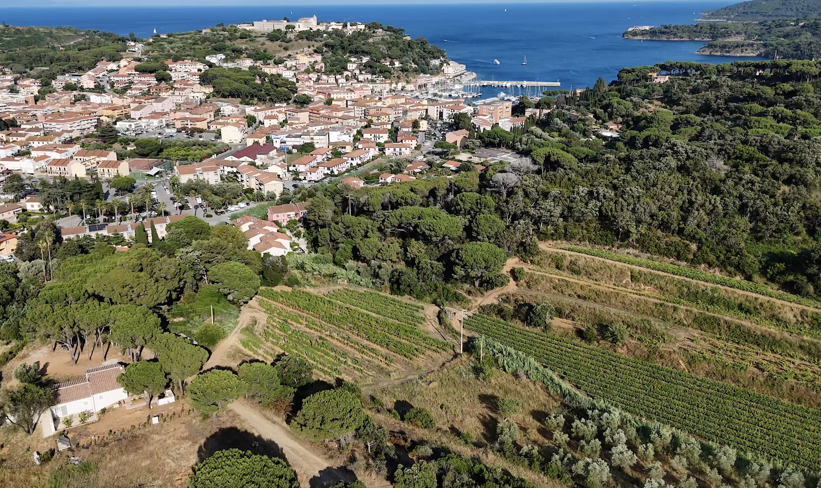 6_vigne-e-mare_-arrigh_giugno-26.jpeg