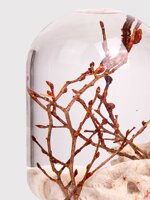 pieces-of-time-model-coralzelkova-l
