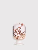 pieces-of-time-model-coralzelkova-l