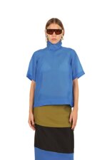 organza-high-neck-top
