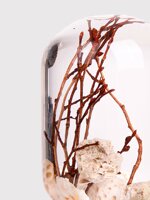 pieces-of-time-model-coral-zelkova-m