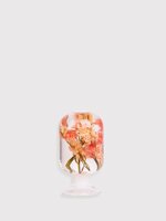 pieces-of-time-model-pink-delphinium-m