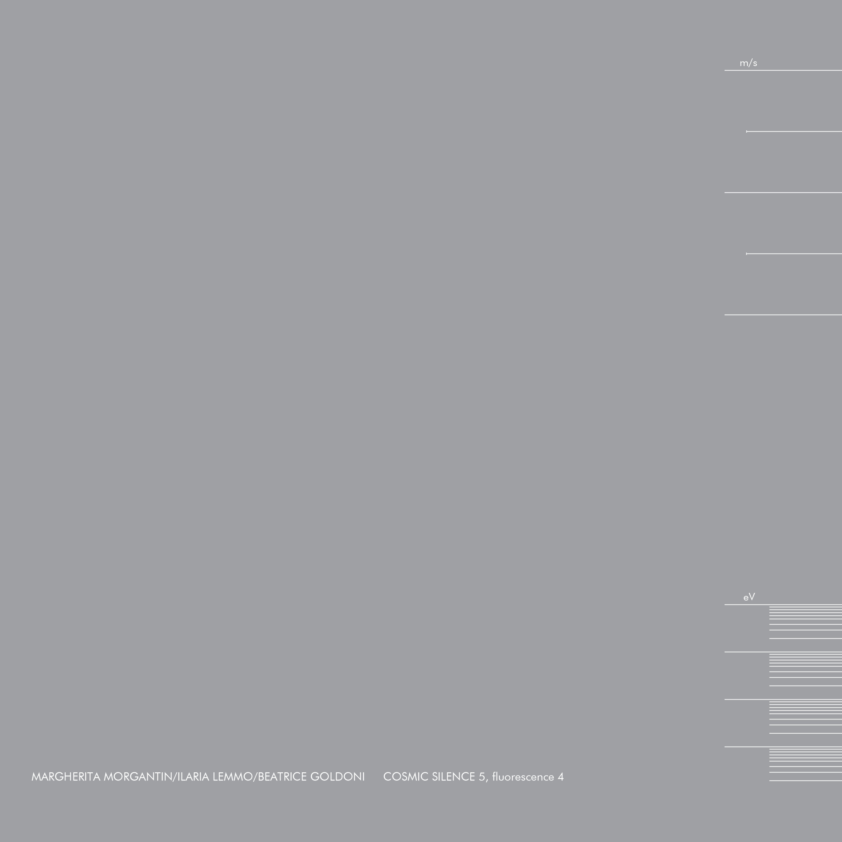 xx06_cover_front_morgantin_lemmo_goldoni-_cosmic_silence-5-fluorescence-4_(xing).jpeg