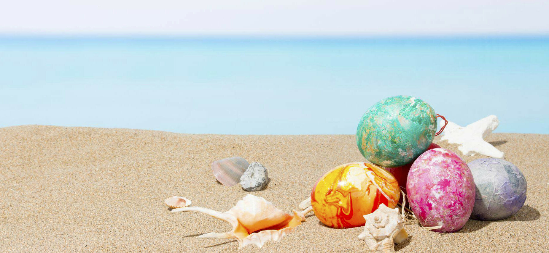 Copy of Expodental 16-18 May 24 Copy of Expodental 16-18 May 24