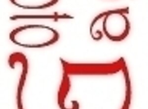 immagine%20013.jpeg
